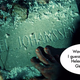 Illustration for article titled Sibling Bonding Gets Pretty Gross On Orphan Black